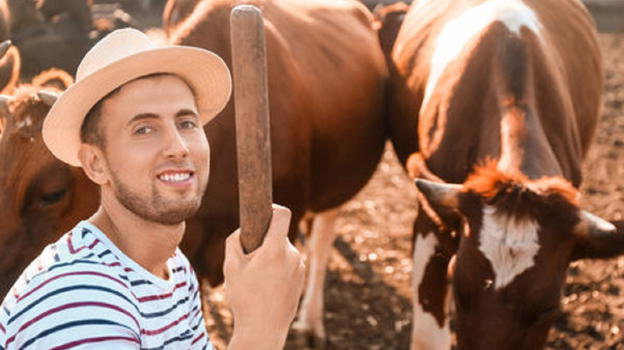 Sorpreso in atteggiamenti intimi con una mucca