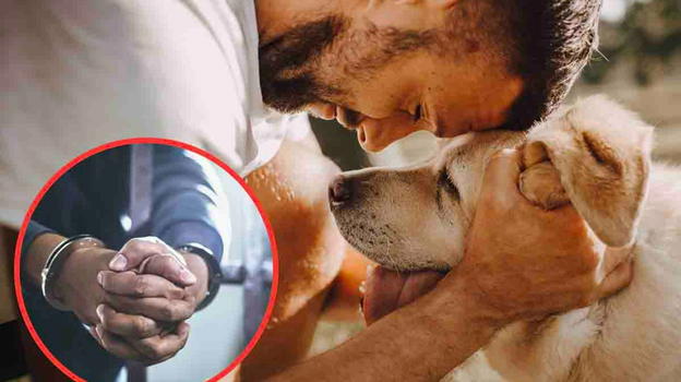 La pessima notizia per chi ha un cane in condominio: fino a 30mila euro di multa se..