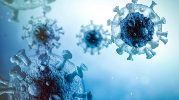 Nuovo virus dalla Cina, l’allarme degli esperti