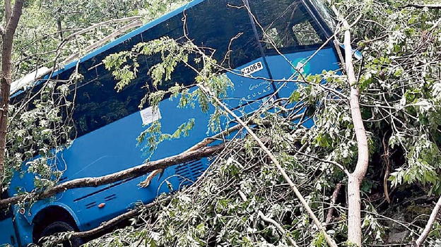 Bus carico di italiani precipita in una scarpata