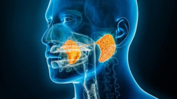 Parotite, i sintomi a cui prestare massima attenzione