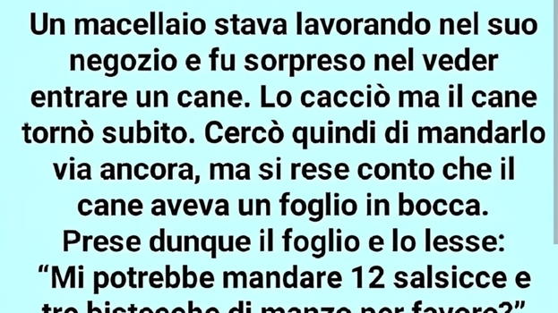 Macellaio sta lavorando nel suo negozio, quando entra un cane.