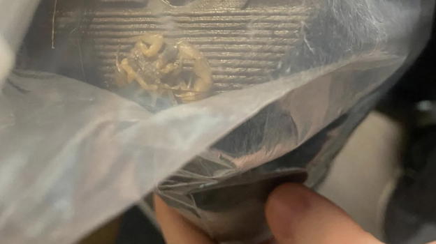 Ho ricevuto un pacco da Shein, quando l’ho aperto ho avuto un malore