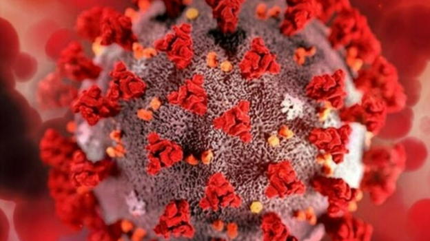 "Non ci sono cure" La variante del Norovirus fa paura: attenzione a questo sintomo