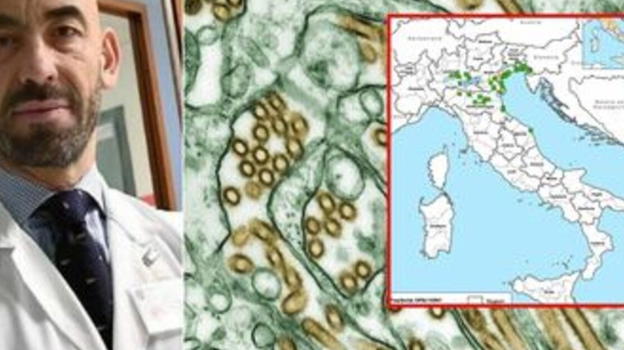 Influenza Aviaria, ecco la mappa in Italia: "1 su 2 non ce la fa.."