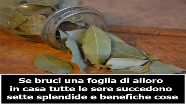 Brucia di sera una foglia di alloro in casa: succederanno queste 7 cose