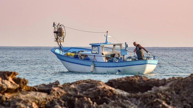 Allarme nel mare italiano, gli esperti: "Sono scappati dalle gabbie"