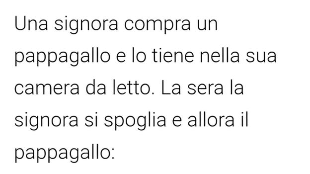 Una signora compra un pappagallo e lo tiene nella sua camera da letto