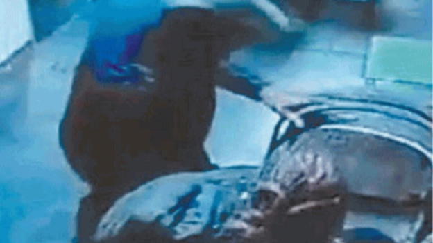 Neonata rapita. Atreju: "Ecco chi sono davvero Rosa Vespa e Aqua Moses"
