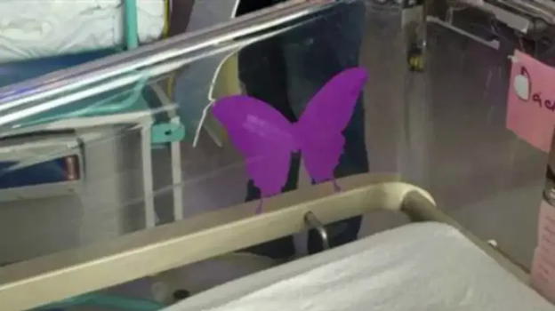 Una farfalla viola sulla culla: il toccante significato di questo gesto