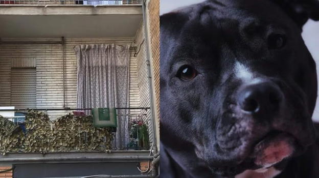Funerali piccola Giulia, la decisione della famiglia