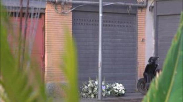 Bimba di 9 mesi sbranata dal pitbull: la conferma sul letto matrimoniale