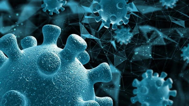 Nuovo Virus scoperto in Cina: può infettare l’uomo