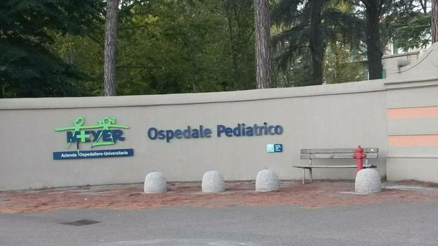 Italia, neonato morso alla testa dal cane: "Era in braccio alla mamma..