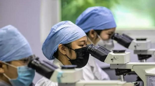 Nuovo virus scoperto in Cina, l’allarme è stato lanciato poco fa: ecco cosa rischiamo