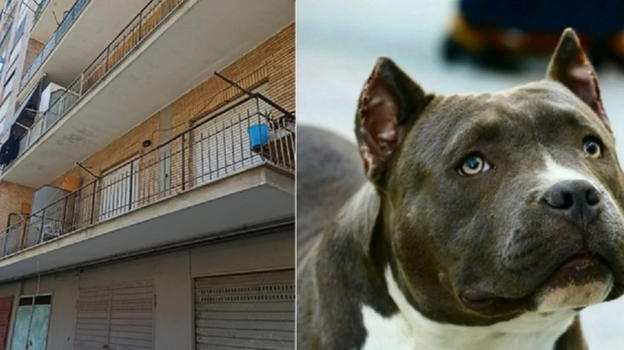 Caso Piccola Giulia, sequestrato il telefono del padre