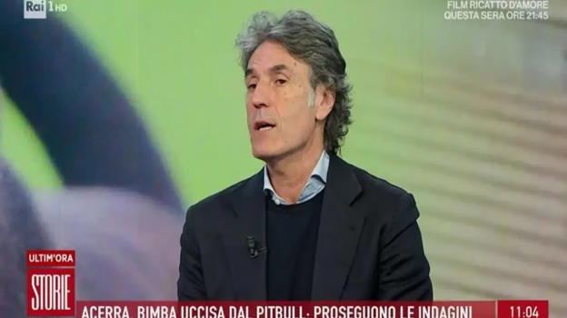 Bimba sbranata da pitbull ad Acerra, il veterinario choc: "La bimba era sola, non è stato il cane..