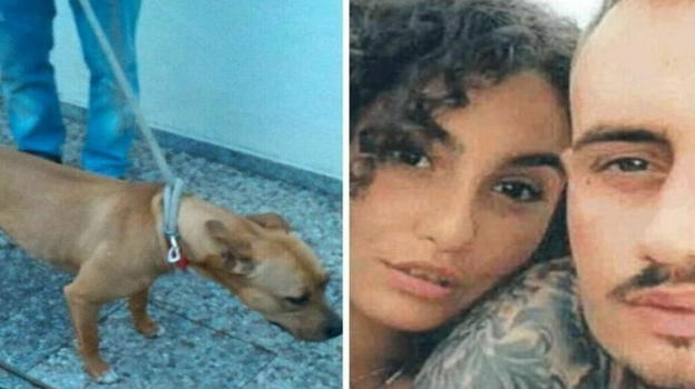 Acerra, è arrivata la decisone sul cane Tyson