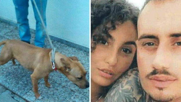 Bimba sbranata a 9 mesi, cambia tutto: "Non è stato il cane"