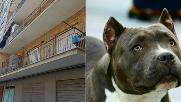 Acerra, funerali della piccola Giulia: "Dolore troppo grande"