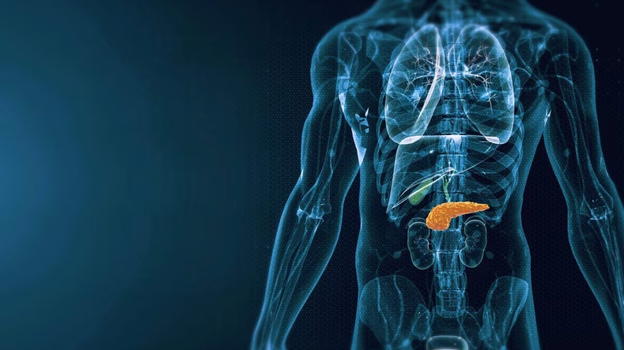 L’alimento che riduce il rischio di neoplasia al pancreas