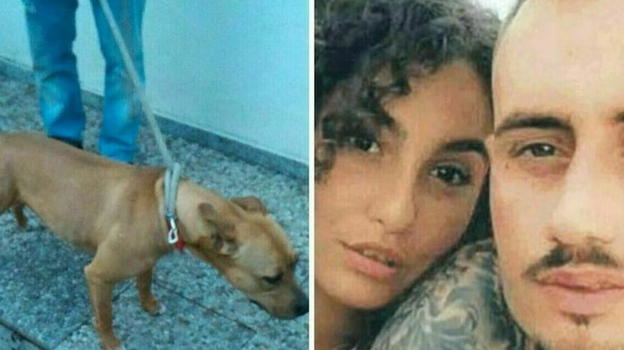 Piccola Giulia, la notizia pochi minuti fa: i dettagli