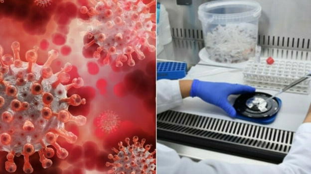 Variante LP.8.1, è boom di casi: fate attenzione a questi sintomi