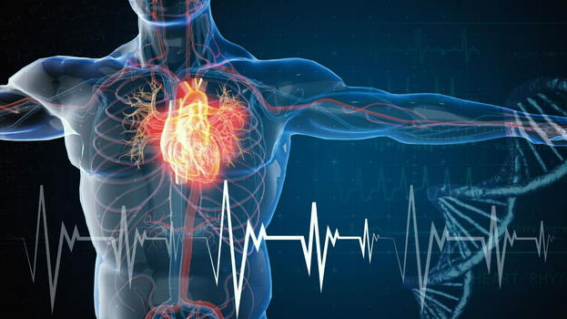 Palpitazioni, è il primo sintomo di una patologia più seria