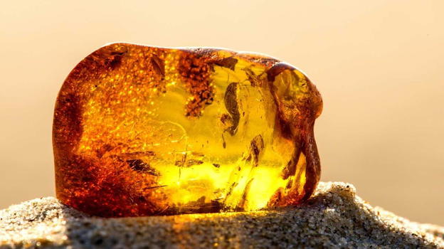 Anziana usa per anni una pietra come fermaporte, la nipote scopre che in realtà era…
