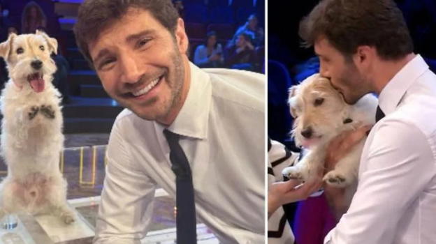 Affari Tuoi, ecco chi è la mascotte di Stefano De Martino