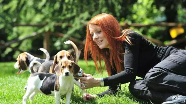 Cani e gatti in casa, adesso è legge: si rischiano multe salatissime e carcere