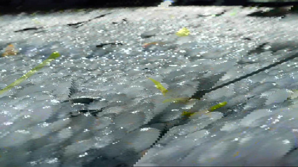 Italia, allerta meteo: temporali e grandine distruggono tutto