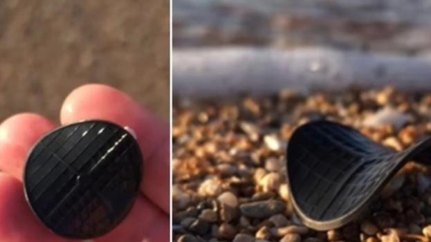 Spiagge italiane invase da dischetti neri, gli esperti svelano il mistero: di cosa si tratta