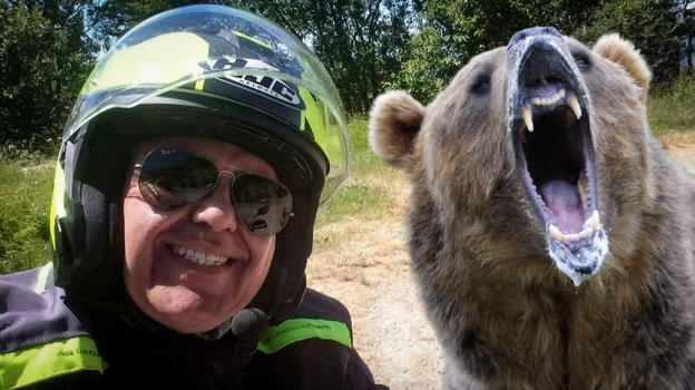 Motociclista italiano sbranato da un’orsa: ecco cosa le ha fatto