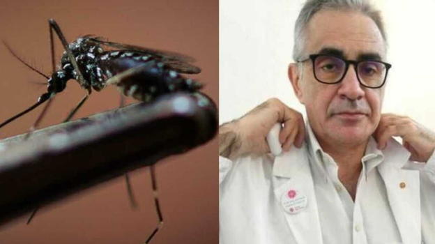 West Nile, parla Pregliasco, i 5 sintomi a cui fare attenzione