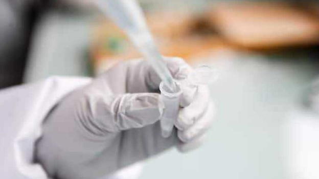 West Nile, se avete questi sintomi andate in ospedale