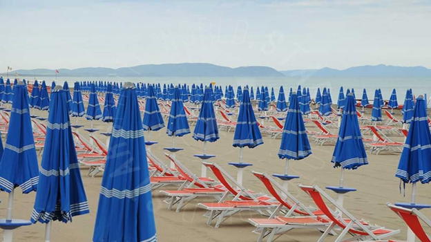 Spiagge chiuse, trovate caravelle portoghesi: ecco cosa sono e quali sono i rischi
