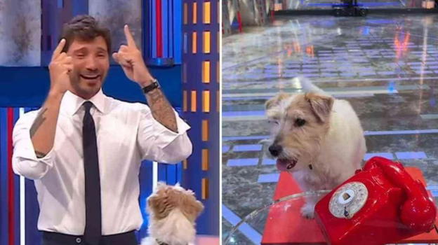 Affari Tuoi, ecco chi c’è dietro Gennarino