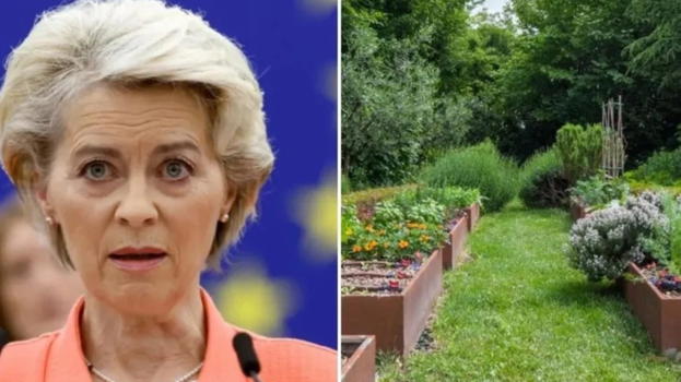 "Attenzione, multe fino a 50.000". L’Europa vieta queste piante: ecco cosa fare