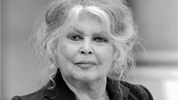 Brigitte Bardot amava la vita, ecco cosa è successo prima del suo decesso