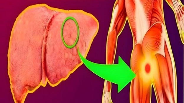 Fegato, il segnale che indica un danno epatico