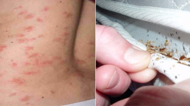 "Colpiscono di notte". Scatta l’allarme in Italia