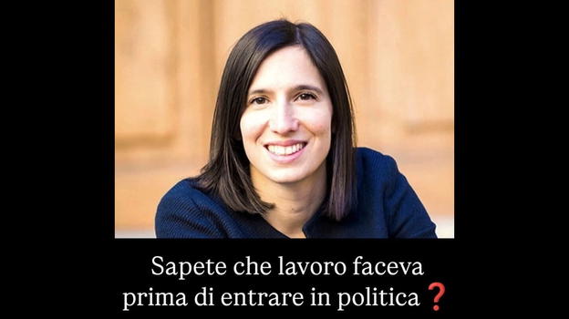 Sapete che lavoro faceva la Elly Schlein prima di entrare in politica?