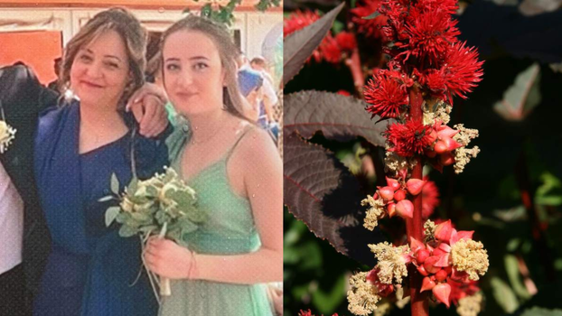 Cos’è la ricina, il veleno usato per togliere la vita a mamma e figlia a Natale