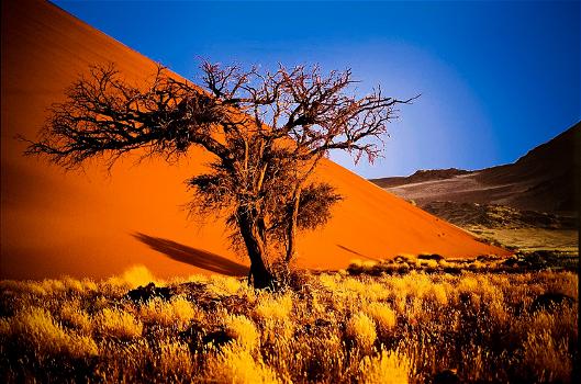 Alla scoperta del deserto rosso della Namibia