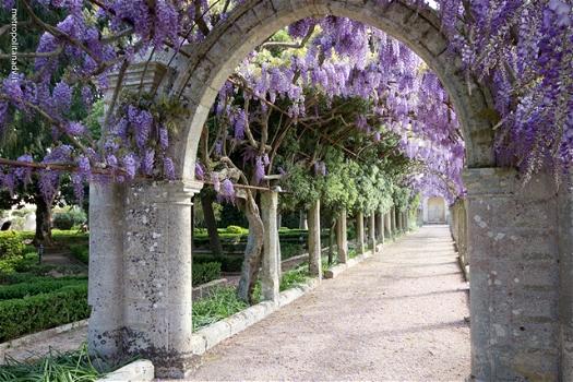 Prevista per il 25 maggio l'apertura degli storici giardini salentini