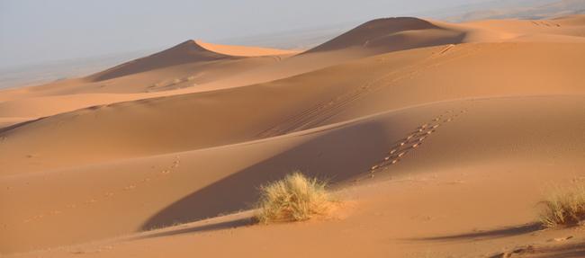 Sud della Tunisia, tour tra oasi e deserto