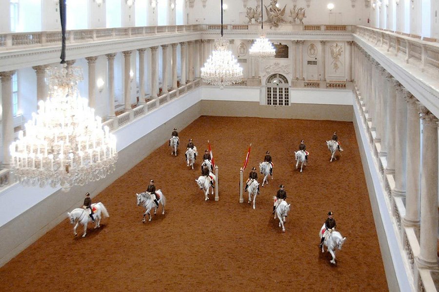 Un'esibizione dei cavalli lipizziani a Vienna
