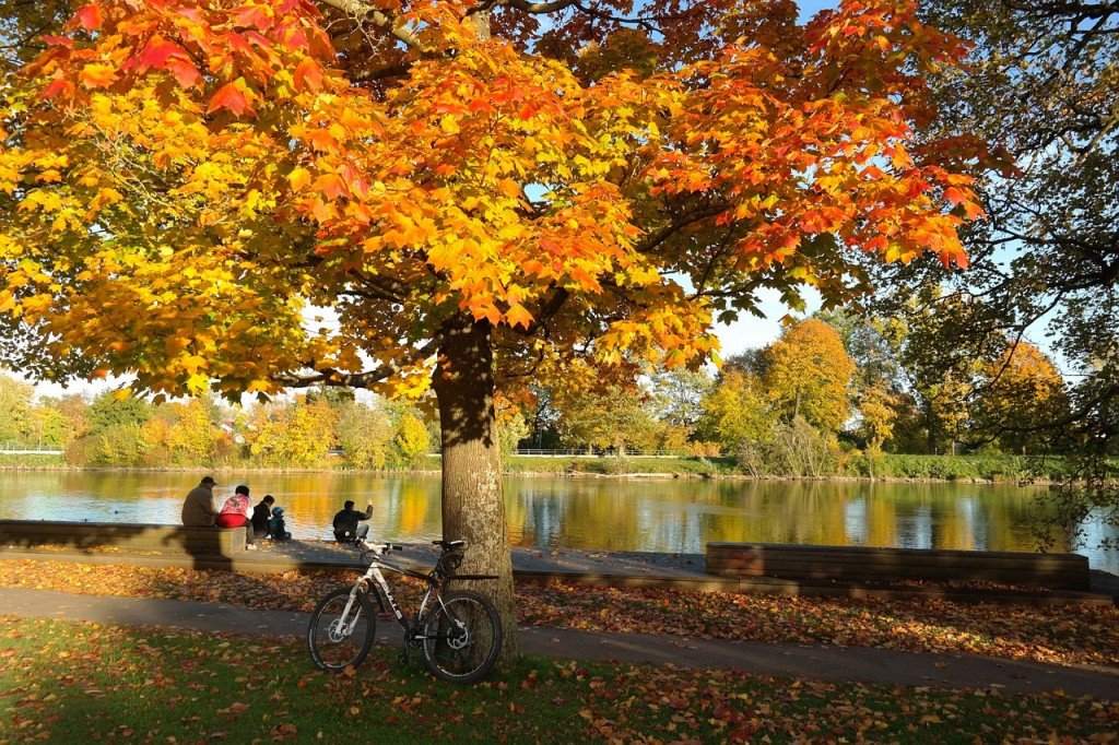 Il Danubio si "veste" dei colori dell'autunno