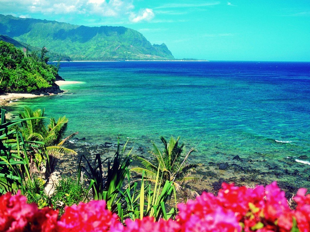 hawaii-usa